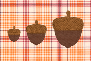 Mini Acorn with Textured Cap Review